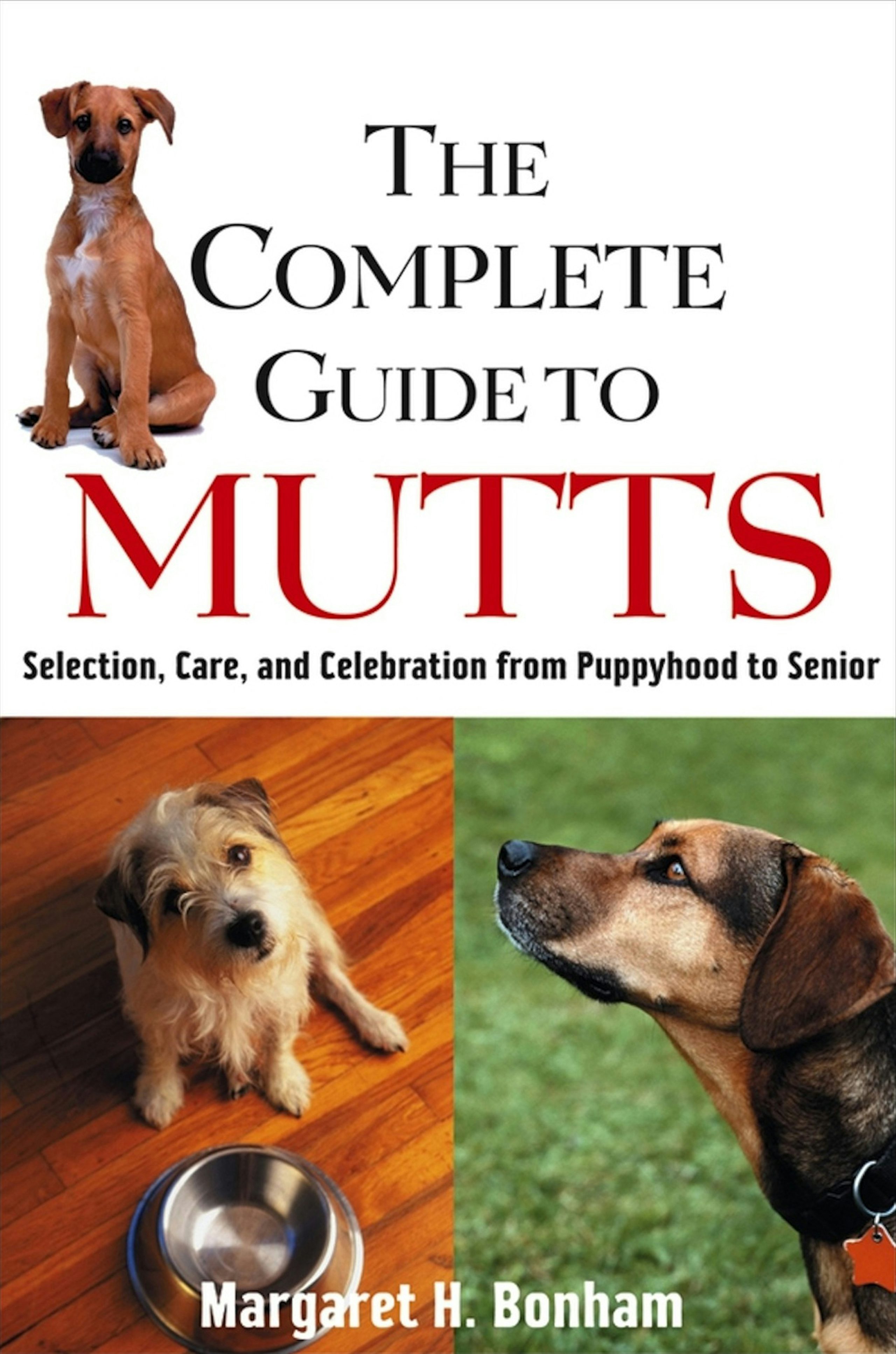 Book cover image for The Complete Guide to Mutts ISBN: 9781620455951
